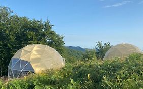 Dome Home Tents Taor